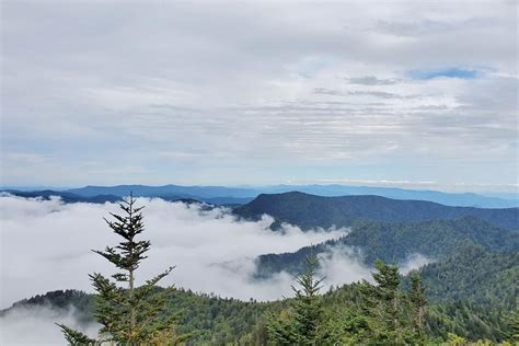 3+ trails to hike to Mt LeConte summit PICS + mountain viewing areas ⛰🐻 ...