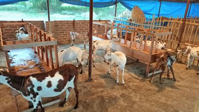 Economic Empowerment