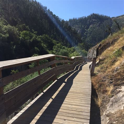 From Porto: Aveiro, Paiva Walkways & Arouca 516 Footbridge 2021 - Viator