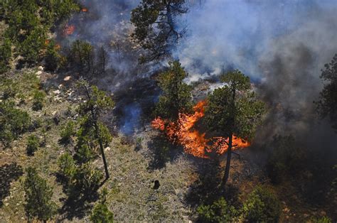 A look back at the Black Forest and Royal Gorge Fires