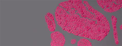 KOSA | A cult skincare, beauty and wellness platform