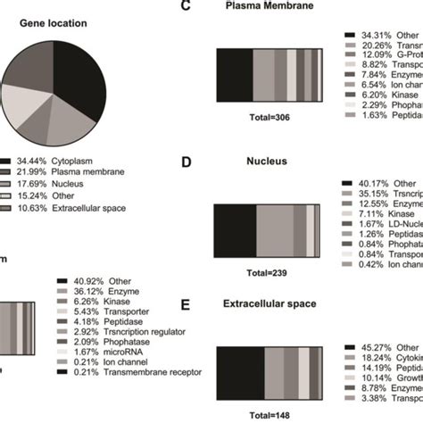 Dynamic Cellular Localization Chart 的图像结果