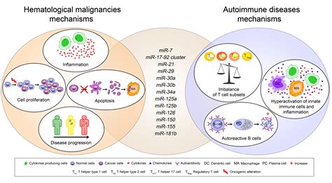 MicroRNAs in Autoimmunity and Hematological Malignancies