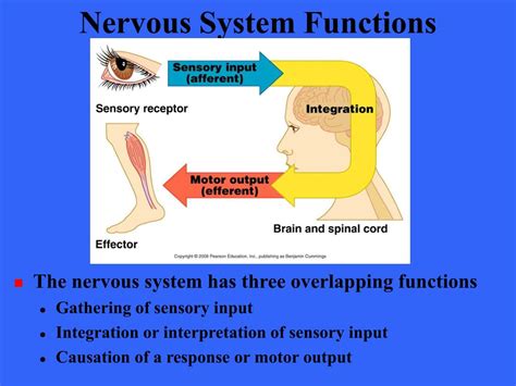 Image result for Able Problem Solving Model Pre Test Answers