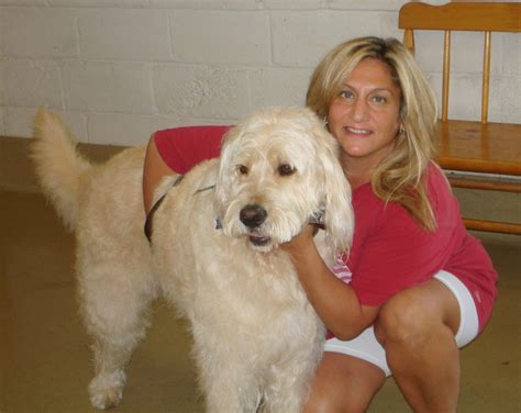 Kuvatulokset haulle bocker