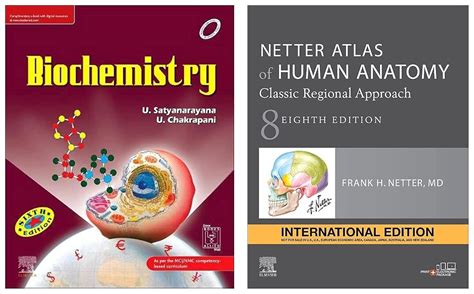 Buy Netter Atlas of Human Anatomy: Classic Regional Approach ...