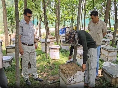 J-K: HADP boosts honey production in Anantnag district, empowers local ...