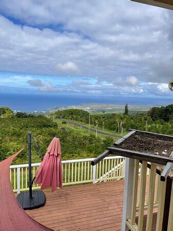 UCC Hawaii (Holualoa) - 2022 What to Know Before You Go (with Photos ...