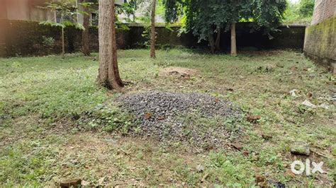 Raiti residential Plot with boundary and gate - Lands & Plots - 1826605734