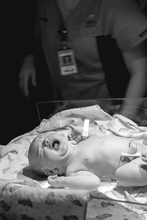 Types Of Circumcision