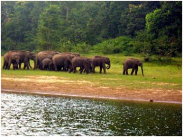 Magical 5 Days Cochin Munnar Thekkady Alleppey Romantic Tour Package ...