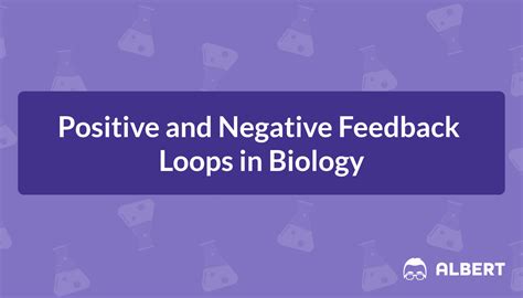 Image result for Feedback Loop