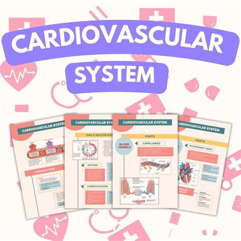 Image result for Cardiovascular System and Function Notes