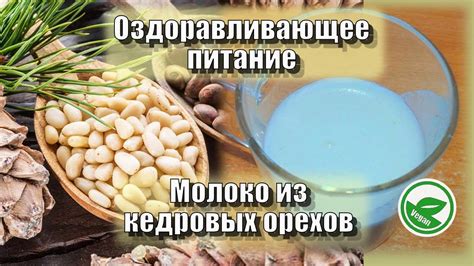Молоко из кедровых орехов — Рецепты — Оздоравливающее питание - YouTube