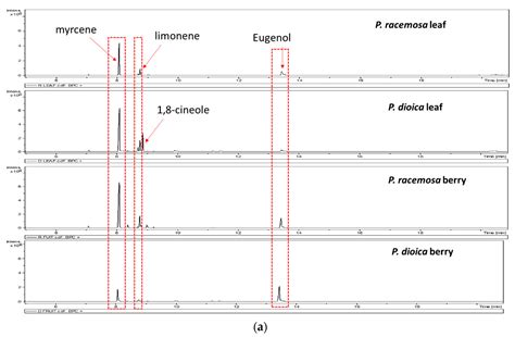 Pimenta Oil as a Potential Treatment for Acinetobacter baumannii Wound ...