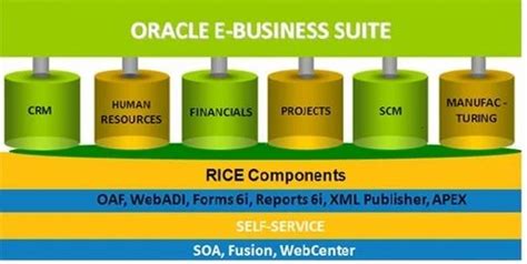 Oracle ERP Support 的图像结果