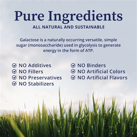 BioPure Galactose – Essential Natural Sugar Monosaccharide Dietary ...