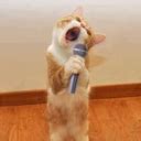 Download free mobile phone wallpaper, window mobile wallpaper, free ...