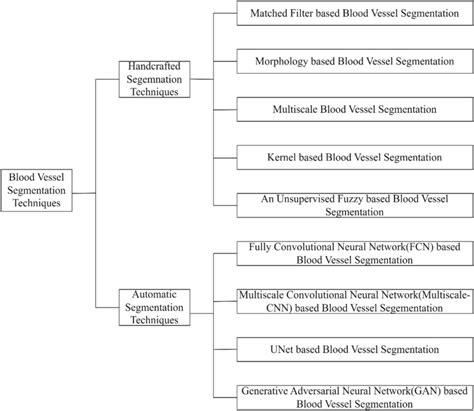 Image result for Normal Blood Segmenter Values