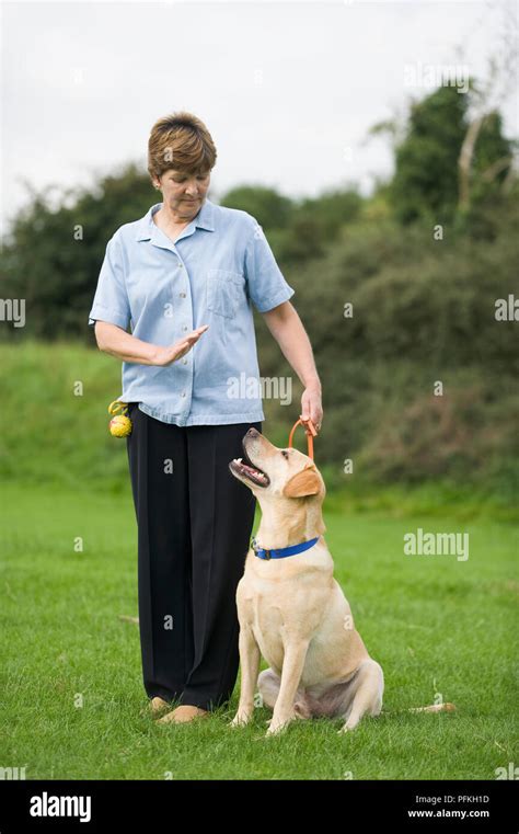 Image result for Wait Hand Signal for Dogs