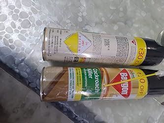 Baygon Cockroach Killer Spray, 400 Ml, Pack Of 1 : Amazon.in: Health ...