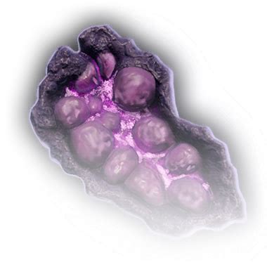 Bulbous Fungus - Baldur's Gate 3 Wiki