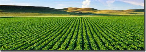 .:BHULEKH || ODISHA:.