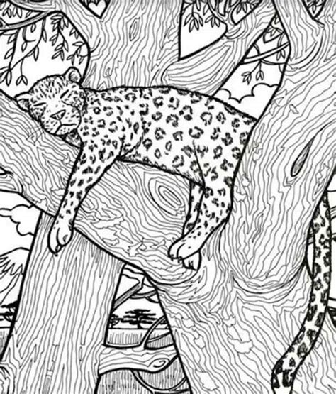 This Hidden Paintbrush Optical Illusion Is Going Viral! Only 2% High IQ ...