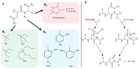 Unveiling the Oxazolidine Character of Pseudoproline Derivatives by ...