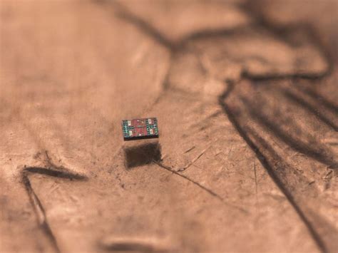 World’s Smallest Programmable Robots Can Swim, Sense Temperature, And ...