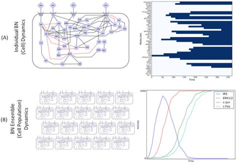 Image result for Boolean Network Python