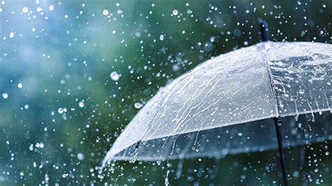 The Top 10 Countries With The Most Rainfall In The World - IMP