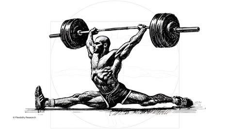 Flexibility Program 的图像结果