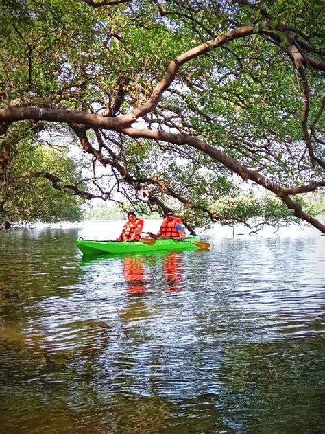 LetsGoa - North Goa Kayaking & Island Hopping Adventure Tour | LetsGoa