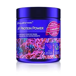 Aquaforest Protein Power 120g : Amazon.in: Pet Supplies