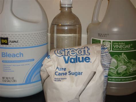 Fresh Cut Flower Preservative : 6 Steps - Instructables