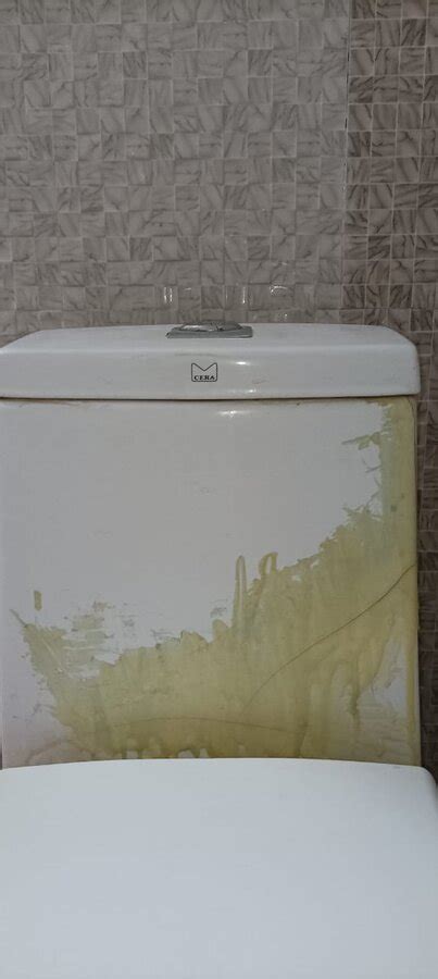 CERA Sanitaryware Ltd. — One piece ewc