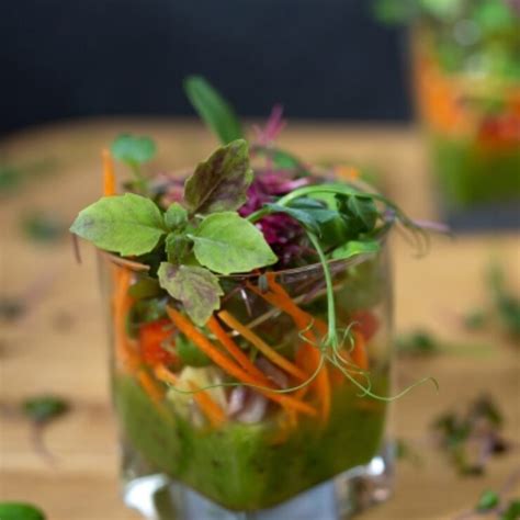 Image result for Pre Drip Comp