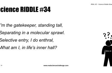 Image result for Science Reddle Example