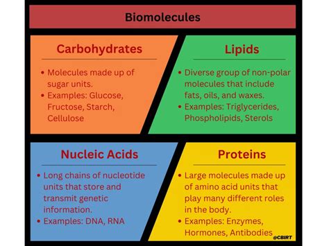 Image result for Biomolecules Explained
