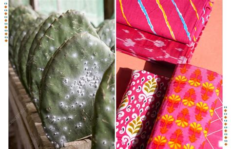 Eco-Friendly Alternatives To Chemical Dyes