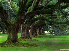 Amazing Picture by Amazing Beautiful Pictures Of Nature Places Amazing Picture