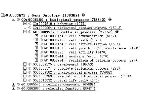 Go Annotation Tools 的图像结果