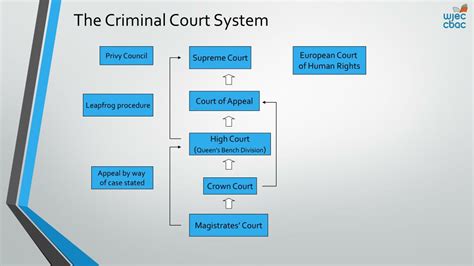 PPT - The Criminal Process Criminal Courts PowerPoint Presentation, free download - ID:810852