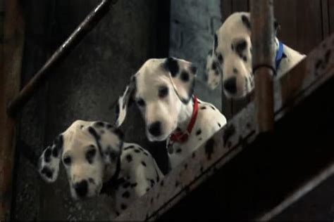 101斑点狗（美国1996年斯蒂芬·赫瑞克执导作品） - 搜狗百科