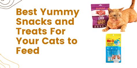 Best Yummy Snacks and Treats For Your Cats to Feed