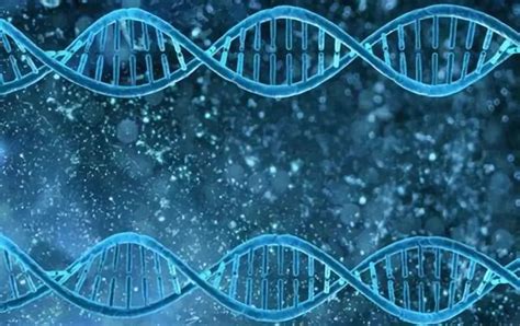 科学家发现超百万种遗传分子：DNA只是其中之一_《环球科学》（“科学美国人”中文版）【唯一官方网站】