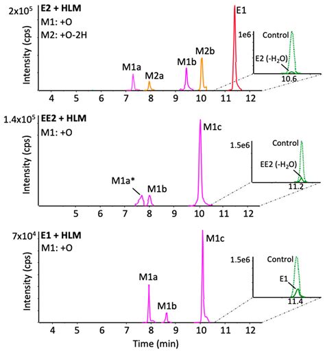Estradiol, Estrone and Ethinyl Estradiol Metabolism Studied by High ...