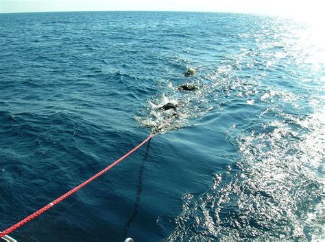 2008 Çanakkale Dive and Trip - Nereids Dive Center