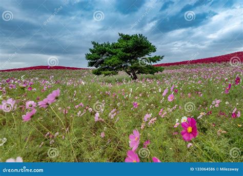 Image result for Pattern Finding with Unsupervised Learning Telecom